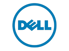 Dell logo color
