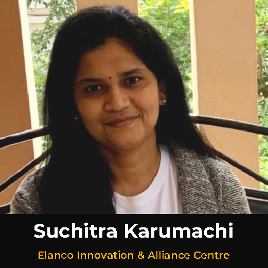 Diversity Leader 2025-26